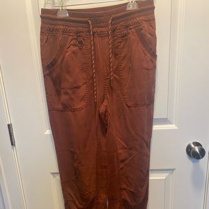 Anthropologie Pilcro Canvas Jogger Pants Size small/tall